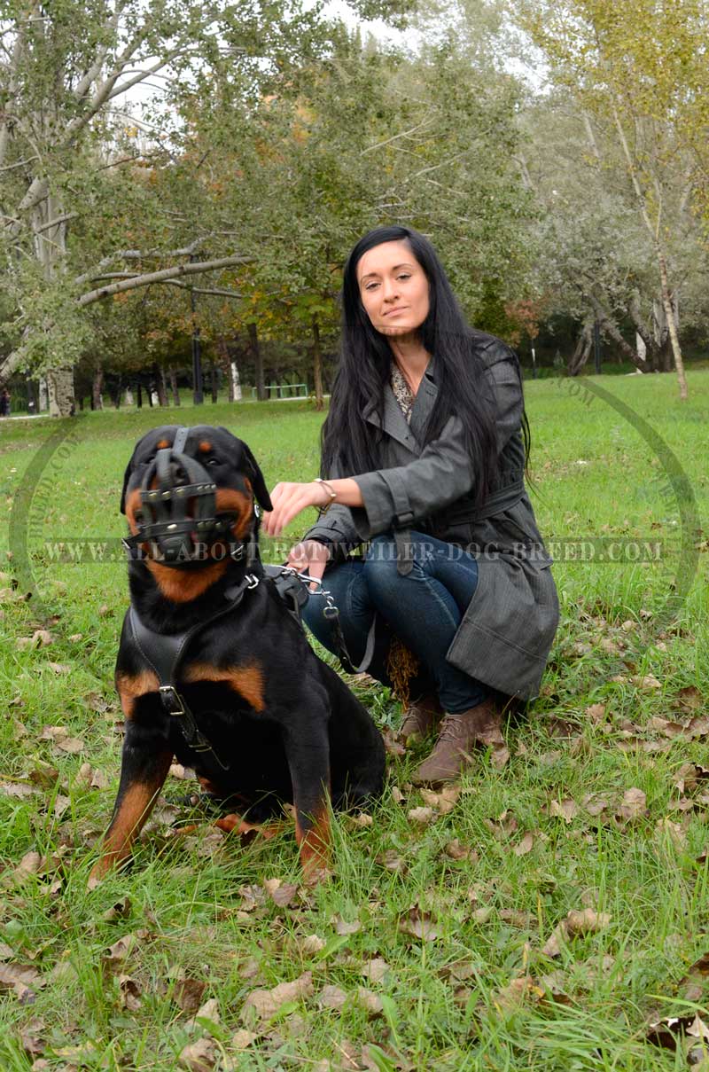 rottweiler muzzle get leather basket rottweiler muzzle nappa padding rottweiler muzzle get leather basket rottweiler muzzle nappa padding