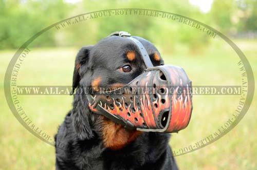 Rottweiler Leather Muzzle for Attack Training