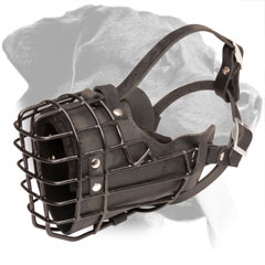 Basket Wire Leather Rottweiler Muzzle with Felt Nose Padding