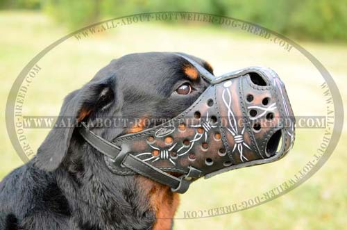 Rottweiler Exclusive Leather Muzzle for Attack Training