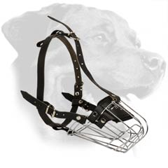 Stylish Muzzle for Rottweiler