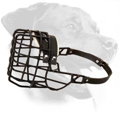 Felt Padded Metal Cage Rottweiler Muzzle