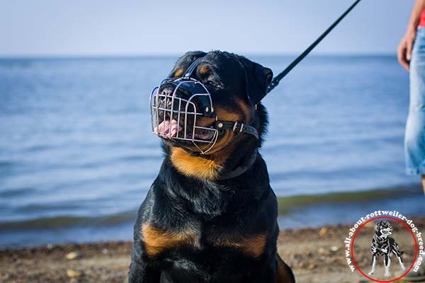Rottweiler wire-basket-muzzle rust-resistant riveted better-comfort