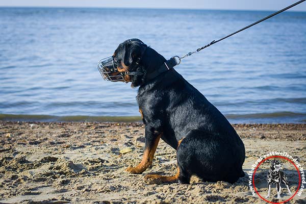 Multifunctional wire dog muzzle for Rottweiler