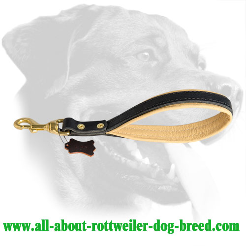 Perfect Rottweiler Leather Leash for Training
