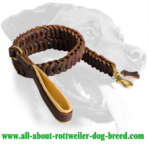 Rottweiler Leather Leash with stitched handle