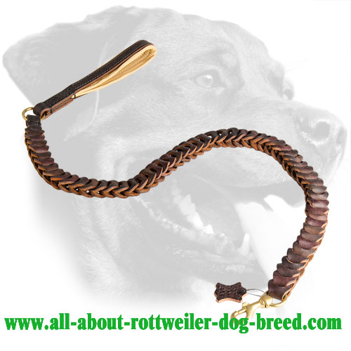 Perfect Leather Leash for Rottweiler