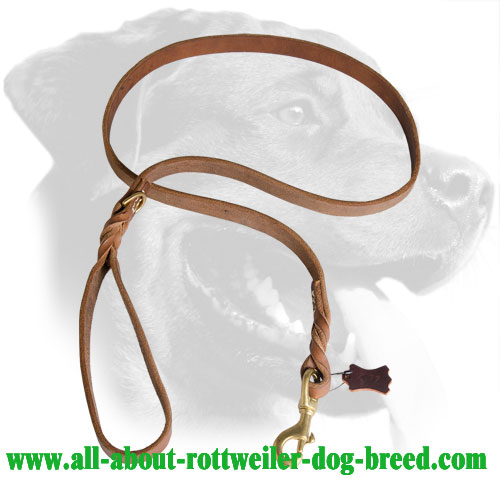 Leather Rottweiler Leash Decorated with Braids