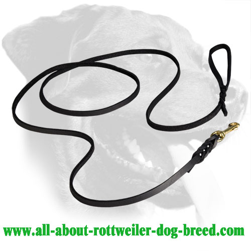 Leather Rottweiler Leash with Braided Decorations