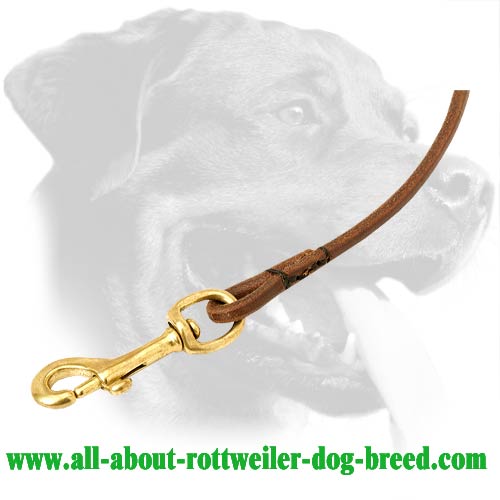 Leather Rottweiler Leash Equipped with Brass Hardware