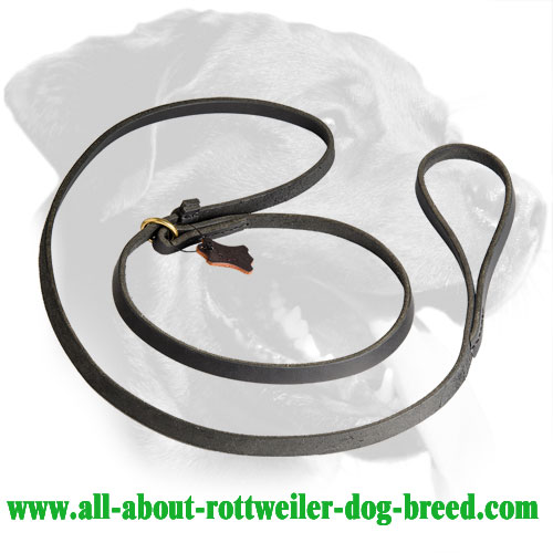 Leather Rottweiler Leash Equipped with Brass O-Ring