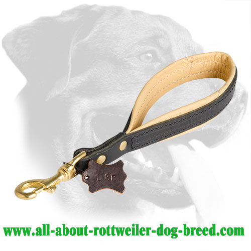 Leather Rottweiler Collar Equipped with Loop Handle