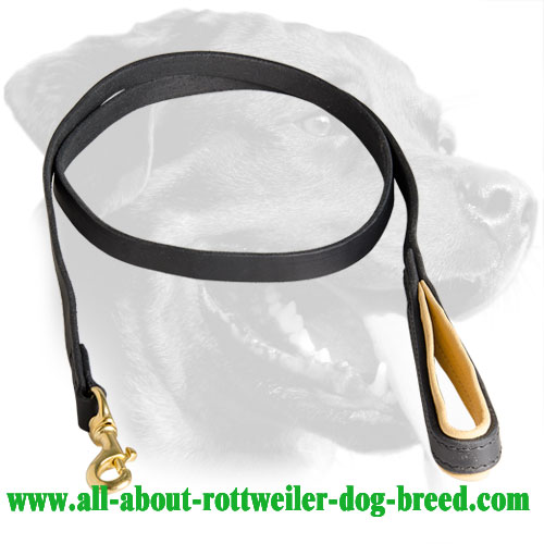 Leather Rottweiler Leash with Soft Nappa Handle