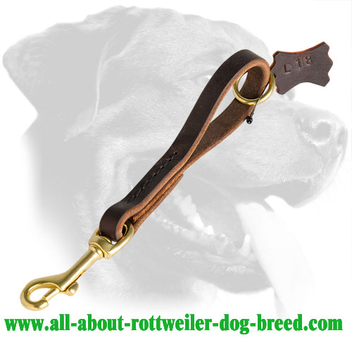 Strong Short Leather Rottweiler Leash for Close Control