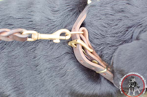 Rottweiler leather leash with durable brass plated hardware for walking