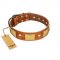"Mutt The Daredevil" FDT Artisan Tan Leather Rottweiler Collar with Old Bronze-like Skulls and Plates