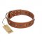 "Silver Age" Fashionable FDT Artisan Tan Leather Rottweiler Collar with Silver-Like Studs