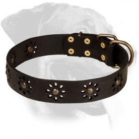 Flower Design Leather Rottweiler Collar for Stylish Walking