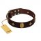 "Victory and Laurels" FDT Artisan Brown Leather Rottweiler Collar with Ovals and Stars