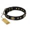'High Fashion' FDT Artisan Studded with Plates Black Leather Rottweiler Collar