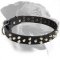 Rottweiler Gorgeous Design Leather Collar