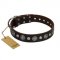 "Victory Ode" FDT Artisan Brown Leather Rottweiler Collar with Silver-like Plated Decorations