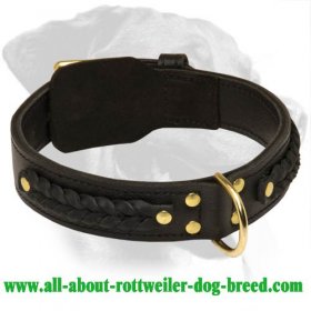 Braided 2 Ply Leather Collar for Rottweiler
