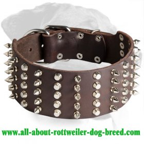 Excellent Spiked and Studded Rottweiler Leather Collar