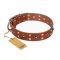 'Silver Elegance' FDT Artisan Leather Tan Rottweiler Collar with Old Silver-Like Plated Studs and Cones 1 1/2 inch (40 mm) Wide
