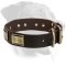 Rottweiler Custom Leather Collar with Brass Plates