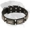 Superb Rottweiler Leather Collar with Vintage Plates