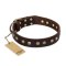 'Bronze Sheen' FDT Artisan Rottweiler Brown Leather Dog Collar with Old Bronze-Like Plated Studs - 1 1/2 inch (40 mm) wide