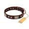 "Pirate Skull" FDT Artisan Brown Leather Rottweiler Collar with Old Silver Look Plates and Skulls
