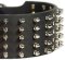 Top Quality Spiked Leather Collar for Rottweiler
