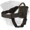 Easy Walk Nylon Rottweiler Harness