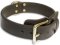Perfect Training Leather Dog Collar for Rottweiler
