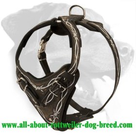 Training Leather Rottweiler Harness