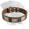 Rottweiler Leather Collar with Vintage Plates