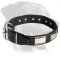 Rottweiler Leather Collar with nickel plates