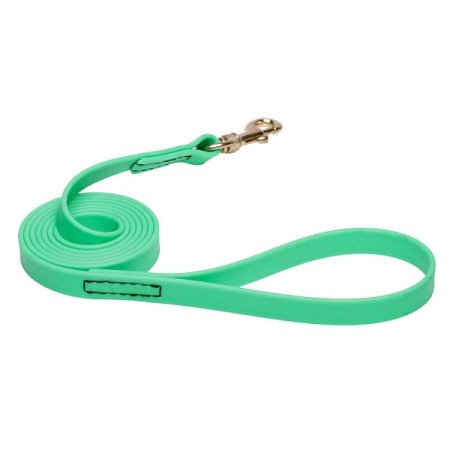 Green Waterproof Rottweiler Leash Made of Biothane