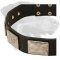 Handcrafted Leather Collar with Vintage Massive Plates for Rottweiler