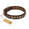 'Ancient Warrior' Rottweiler Brown Leather Dog Collar