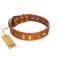 "Woofy Dawn" FDT Artisan Tan Leather Rottweiler Collar with Plates and Rhombs