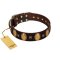 "Crystal Mirror" FDT Artisan Handmade Brown Leather Rottweiler Collar - 1 1/2 inch (40 mm) Wide