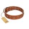 "Dreamy Gleam" FDT Artisan Tan Leather Rottweiler Collar Adorned with Stars and Squares