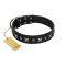 "Polar Lights" Designer FDT Artisan Black Leather Rottweiler Collar with Silver-Like Studs