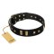 "Fit for Royalty" FDT Artisan Black Leather Rottweiler Collar with Plates and Small Square Studs