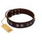 "King Arthur" FDT Artisan Brown Leather Rottweiler Collar with Spiky Plates