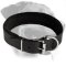 Amazing Padded Leather Collar for Rottweiler