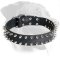 Exclusive Spiked Leather Dog Collar for Rottweiler